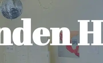 Rendered contrast evidence for Den Anden Historie