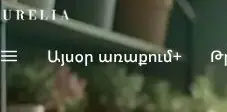 Rendered contrast evidence for Այսօր առաքում+
