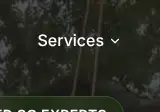 Rendered contrast evidence for Services