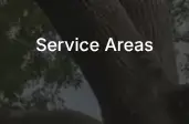 Rendered contrast evidence for Service Areas