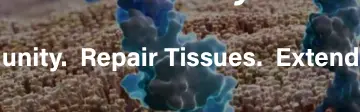 Rendered contrast evidence for Restore Immunity. Repair Tissues. Extend Healthspan.