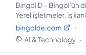 Rendered evidence for bingolde.com