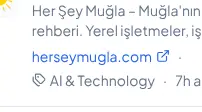 Rendered evidence for herseymugla.com