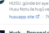 Rendered evidence for husuapp.site