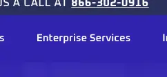 Rendered contrast evidence for Enterprise Services