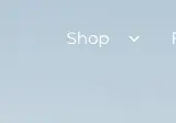 Rendered contrast evidence for Shop