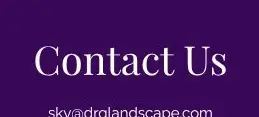 Rendered contrast evidence for Contact Us