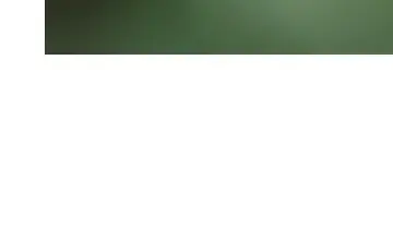 Rendered mobile overflow evidence for overflowing element