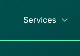 Rendered contrast evidence for Services