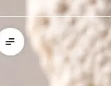 Rendered accessibility evidence for Images must have alternative text