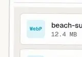 Rendered contrast evidence for WebP
