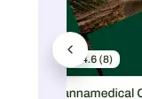 Rendered accessibility evidence for Buttons must have discernible text