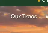 Rendered contrast evidence for Our Trees