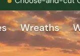 Rendered contrast evidence for Wreaths