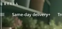 Rendered contrast evidence for Same-day delivery+