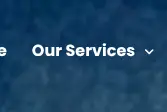Rendered contrast evidence for Our Services