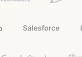 Rendered contrast evidence for Salesforce